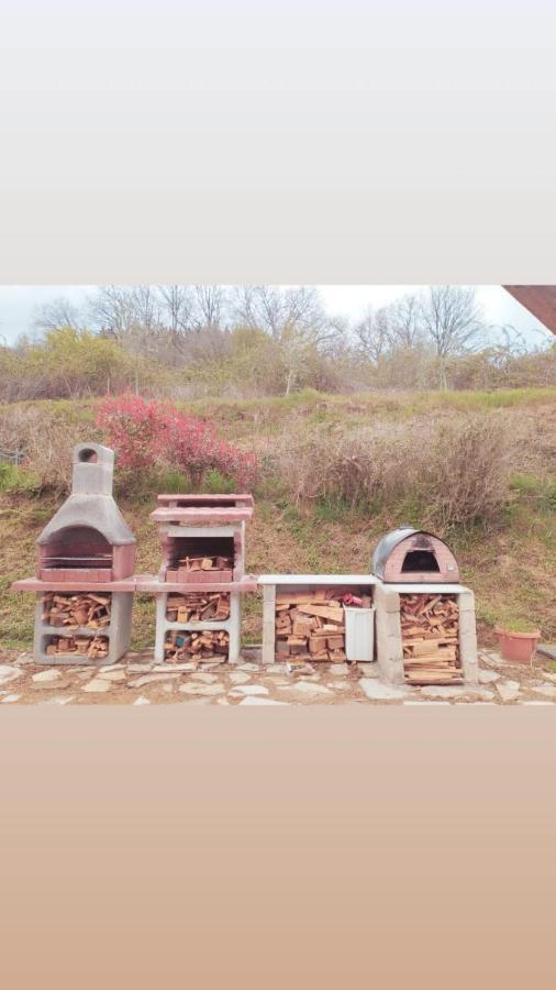 Il Podere Di Massi Barberino di Mugello Ngoại thất bức ảnh