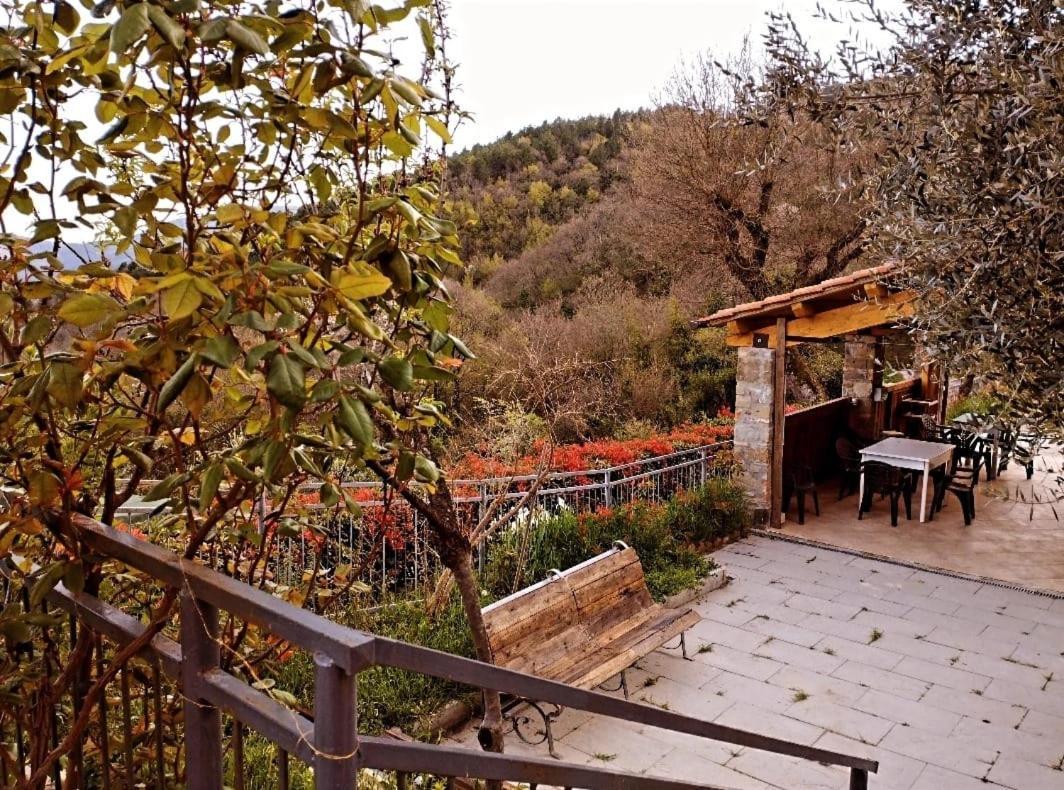 Il Podere Di Massi Barberino di Mugello Ngoại thất bức ảnh