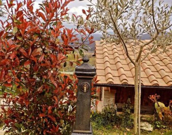 Il Podere Di Massi Barberino di Mugello Ngoại thất bức ảnh