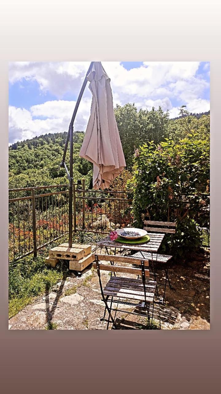 Il Podere Di Massi Barberino di Mugello Ngoại thất bức ảnh