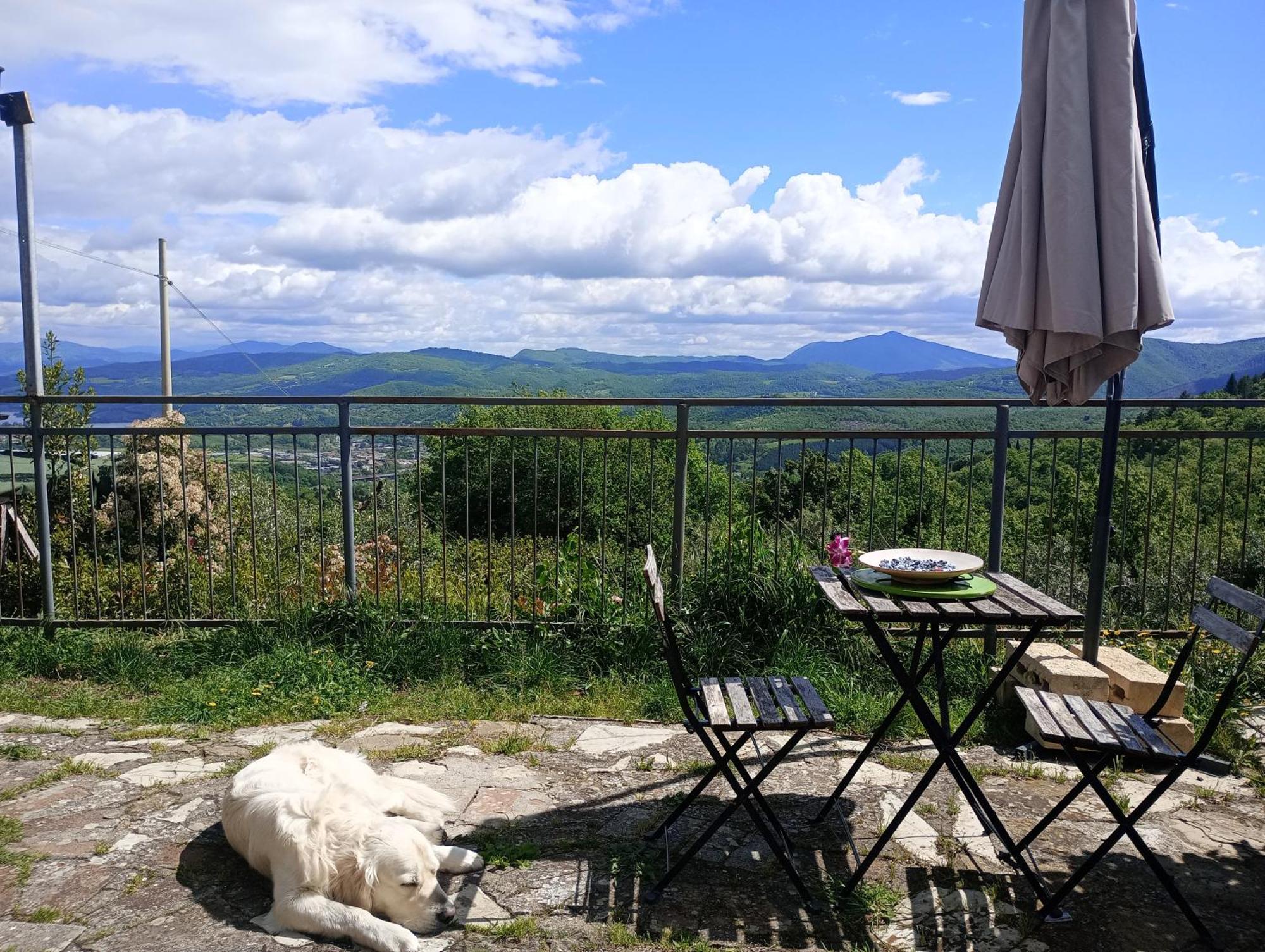 Il Podere Di Massi Barberino di Mugello Phòng bức ảnh