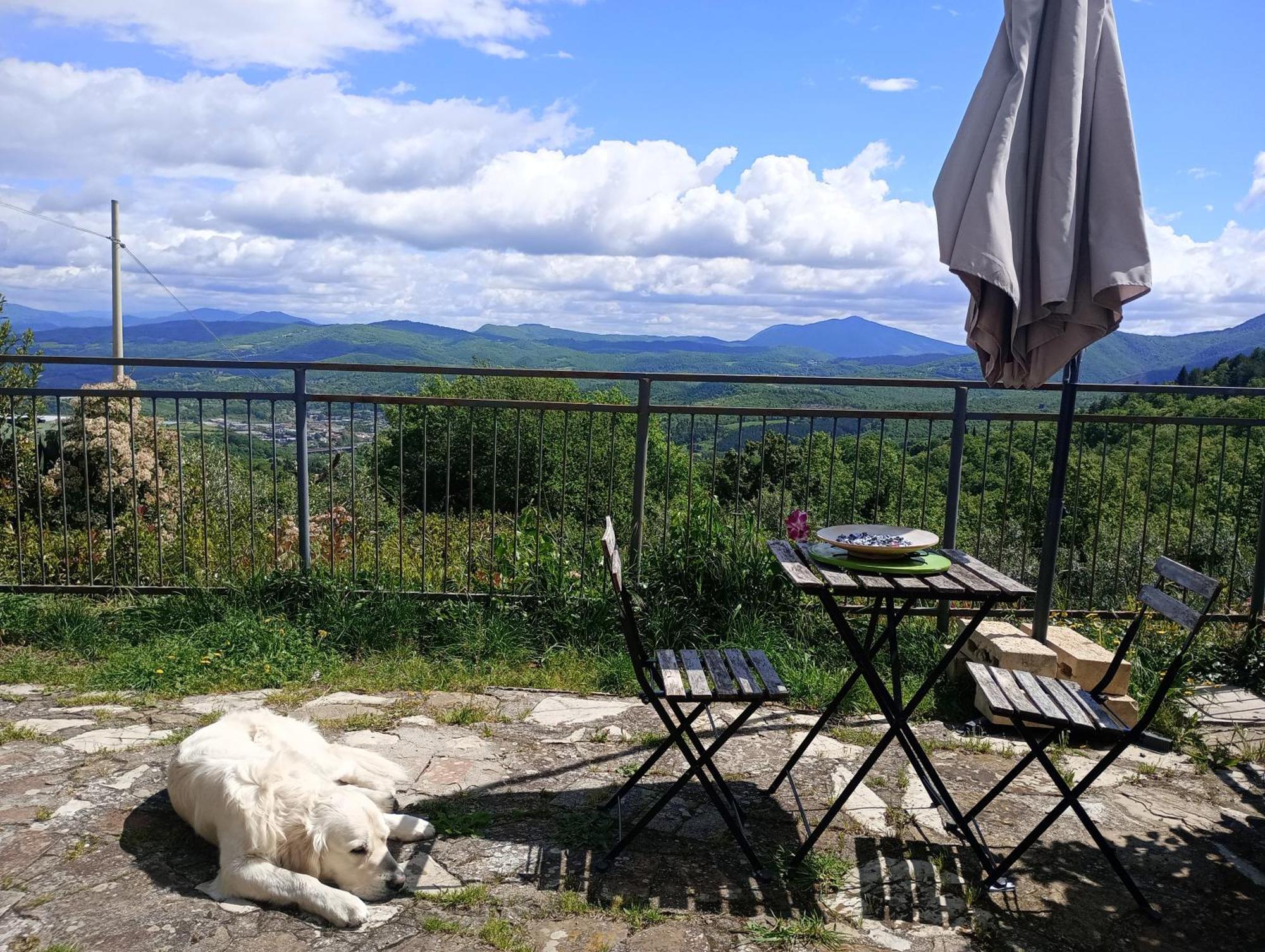 Il Podere Di Massi Barberino di Mugello Ngoại thất bức ảnh