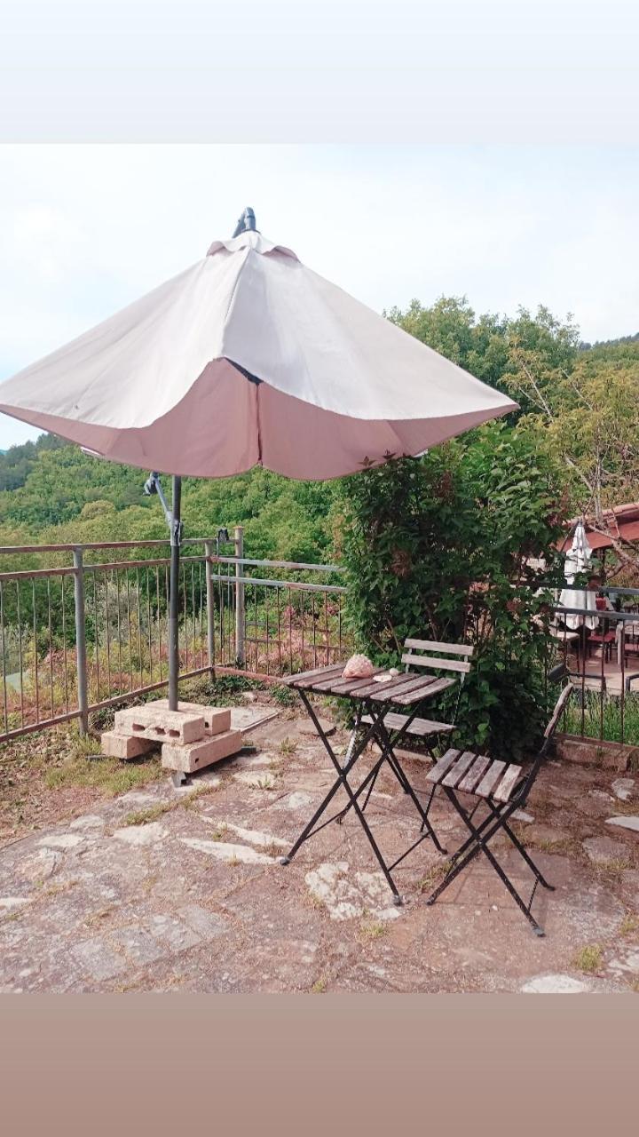 Il Podere Di Massi Barberino di Mugello Ngoại thất bức ảnh