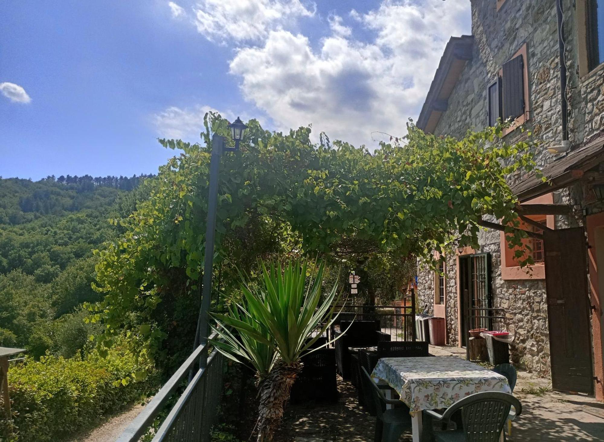 Il Podere Di Massi Barberino di Mugello Ngoại thất bức ảnh